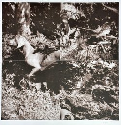 William Wegman 1990 Photolithograph 'Untitled' From Bird Dog Suite