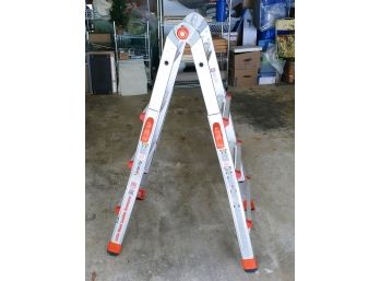 Little Giant Velocity Multi-Position Ladder