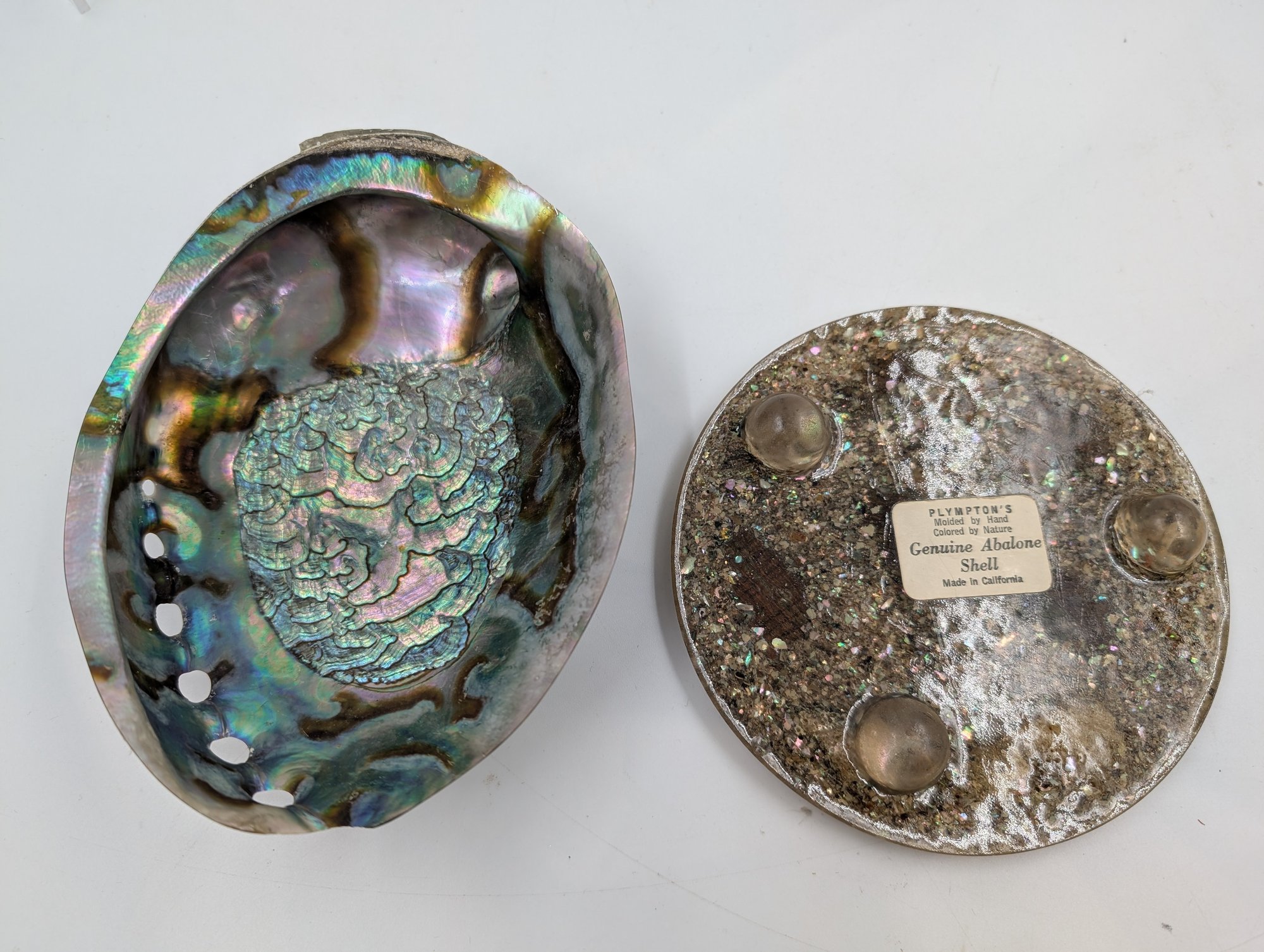 Abalone Collection #3249 | Auctionninja.com
