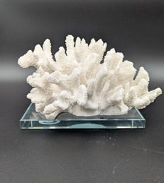 Decorative Coral On Flat Glass Base.