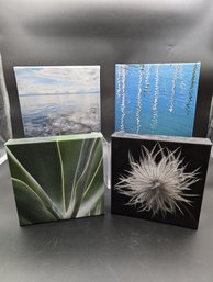 Photo Canvas Collection, Set Of 4, 8 X 8,