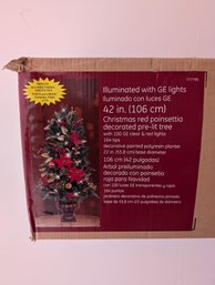 Illuminated Christmas Tree