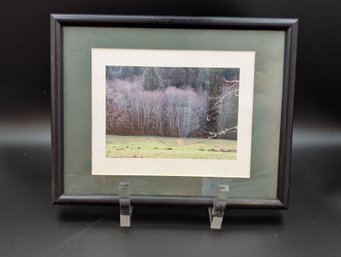 Framed Landscape Photograph