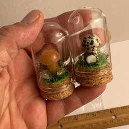 LOT 155, Rocks/crystals, 2 Pc., Mini Mushrooms Under Glass Dome