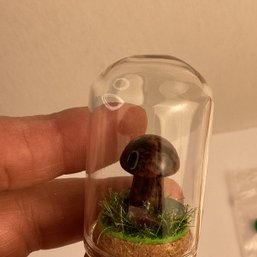 LOT 156, Rocks/crystals, 1 Pc., Mini Mushrooms Under Glass Dome, Mahogany Jasper