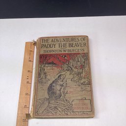 1930 The Adventures Of Paddy Beaver, Thornton W. Burgess, Illus. Harrison Cady