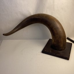 Very Large, Vintage, Cattle Horn, Mounted, Wall Hanging, NO SHIPPING