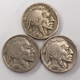 (3) Buffalo Nickels