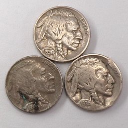 (3) Buffalo Nickels