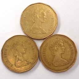 3 Canadian Golden Dollars