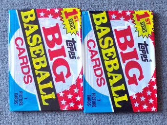 Two Unopened 1989 Topps Wax Packs Big Baseball Cards 1st Series