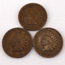 (3) Indian Head Cents 1895, 1902 (Most Liberty), 1907