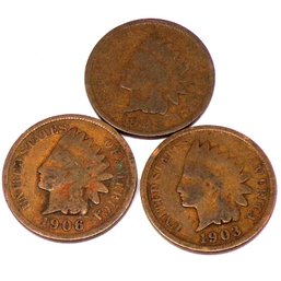 (3) Indian Head Cents 1903, 1905, 1906