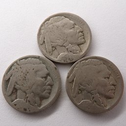 (3) Buffalo Nickels