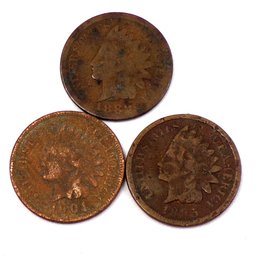 (3) Indian Head Cents 1889, 1895 & 1901