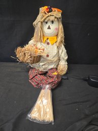 Fiber Optic Scarecrow