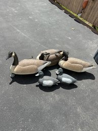 Three Geese Decoys With Weights Two Blue Bill Decoys Use Them To Hunt Or For Lawn Decorations Nice Set