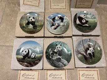 Set Of 6 Vintage Limited Edition Will Nelson Panda Plates By The Wildlife Society In Box With COA