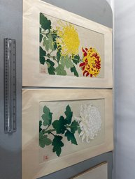 Shodo Kawarazaki Japanese Art Flowers Floral Botanical Art Prints White Chrysanthemums And Mustard Yellow