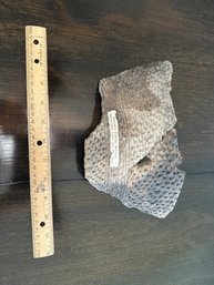 Piece Of Ancient Indian Pottery Unearth Near Cortez, Kansas