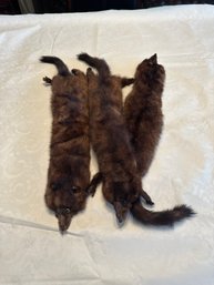 3 Vintage Real Minks. You Can Wear Them. You Can Display Them Or You Can Scare Your Friends With Them Nice Lot