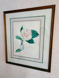' Camellia Japonica'