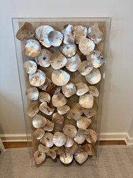 Oyster Shells By Palecek