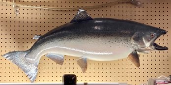 Impressive King Salmon Fish Mount 37 Inches