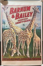 RINGLING BROS BARNUM BAILEY CIRCUS POSTER Giraffe P-29