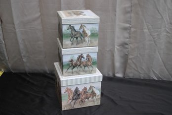 Horse Themed Boxes