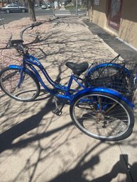 Schwinn 3 Wheel Adult Tricycle
