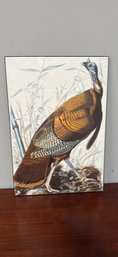 Turkey Wall Art