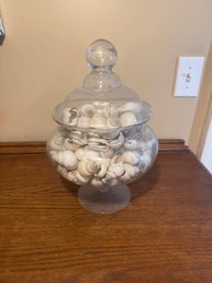 Decorative Seashells In Glass Apothecary Jar
