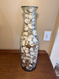 Glass Vase Filled With Assorted Natural Seashells