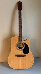 Johnson Guitar