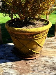 Faux Concrete Planter