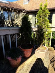 Set Of Three Plastic-Resin Planters