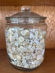 Large White Button Lot