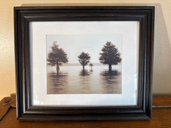 Framed Tranquil Tree Print