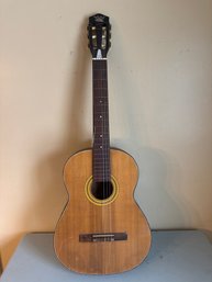 Crown Professional Guitar