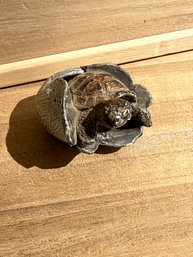 Small Turtle Hatching Figurine