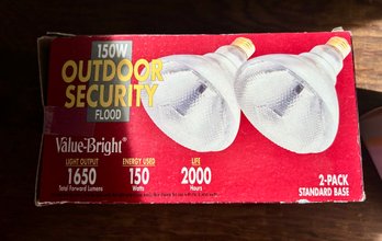 Outdoor Security Lights - One Painted Blue