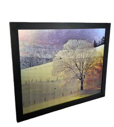 Real D 3D Lenticular Tree In Meadow Wall Art 3 Seasons