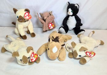 Ty Beanie Baby Lot Bat Siamese Cats Horse Derby