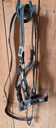 Black Leather Halter & Lead Silver Tone Embellishments