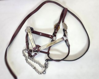 Vintage Handmade Circle Y Leather & Alpaca Silver Show Halter & Lead