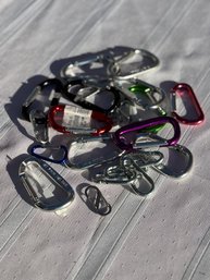 A Gaggle Of Carabiners