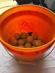 *Bucket O' Golf Balls!