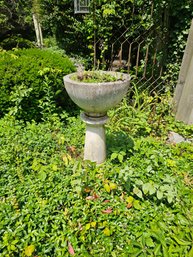 Concrete Planter Atop A Marble Pedestal