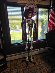 Full Size Skeleton (just In Time For Halloween)